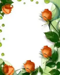 Beautiful Roses And Sparkles Photo Frame