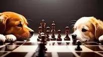dogs chess board game pets game wallpaper