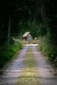 hike forest hut dark path house phone wallpaper