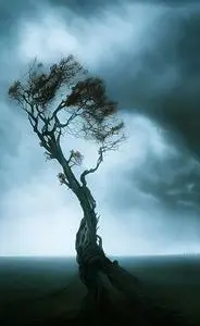 tree night dramatic sky landscape phone wallpaper