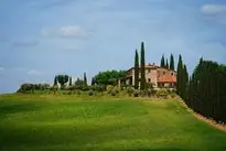 Tuscany Mediterranean Cypress wallpaper