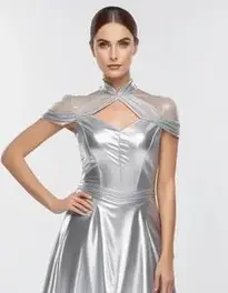 Silver Fancy Dress Outfits face swap