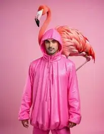 Flamingo Fancy Dress face swap