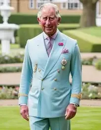 Prince Charles Fancy Dress face swap