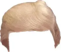 Trump Hairstyle.. Add to your photo.
