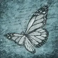 Butterfly, Calligraphy, Blue Background For Photos