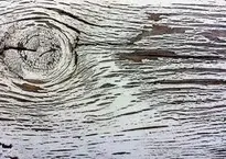 Wood Overlay Photo Effect