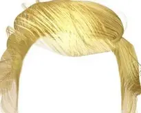 Trump Hairstyle.. Add to your photo.