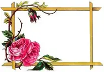Flower Photo Frame.