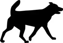 dog dogs : Add to your photo