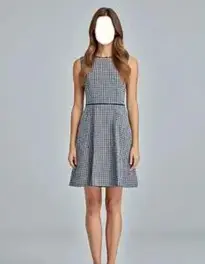 Checkered Dress