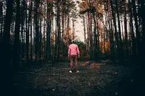 Man, A Person, People, Male, Forest wallpaper