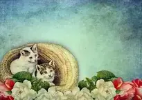Vintage Kitten Flowers background wallpaper
