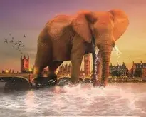 Elephant Mammal Ivory background wallpaper