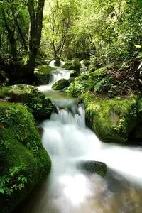 Valley, Water, Clean, Mountain, River phone wallpaper
