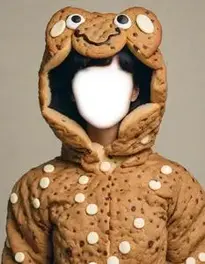 Cookie Fancy Dress