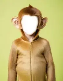 Boy Monkey Outfit