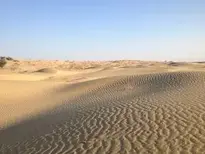 desert india nature thorny arid wallpaper