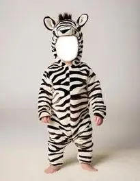 Zany Zebra Infant
