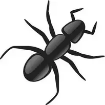ant : Add to your photo