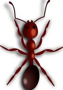 ant : Add to your photo