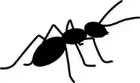 ant : Add to your photo