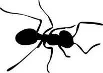 ant : Add to your photo