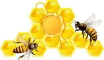 Bee : Add to your photo