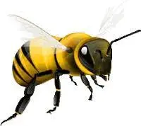 Bee : Add to your photo