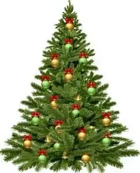 Christmas tree : Add to your photo