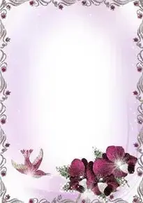Large Silver and Purple Transparent Frame with Flowers