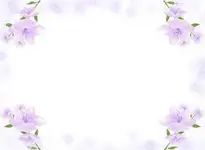 Transparent Frame with Purple Soft Flowers