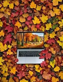Fall Wallpaper Chromebook