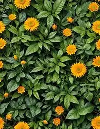 Nature Wallpaper