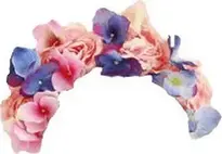 Add Flower Crown To Your Photo