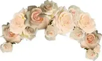 Add Flower Crown To Your Photo