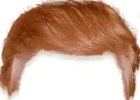Add Trump Hair To Your Photo