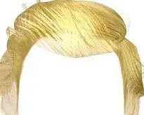 Add Trump Hair To Your Photos