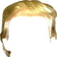 Add Trump Hair To Your Photos