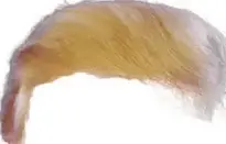 Add Trump Hair To Your Photos