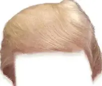 Add Trump Hairstyle To Photo