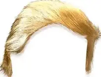 Add Trump Hairstyle To Your Photo