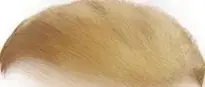 Put Trump Hair On Your Photos