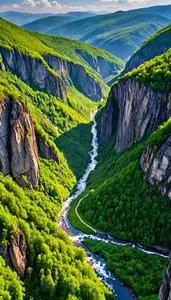 Central Sikhote Alin Wallpaper