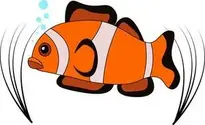 Clown Fish, Vector, Clown, Fish, Sea. Add to your photo
