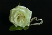 White Rose Heart Jewellery Noble wallpaper