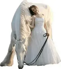 Woman Horse Transparent Isolated wallpaper