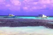Maldives Fabulous Colors Ocean wallpaper