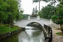Bridge Sri Lanka Exotic Nature wallpaper