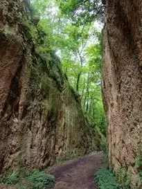 Cliff Rift Forest Road Protection phone wallpaper
